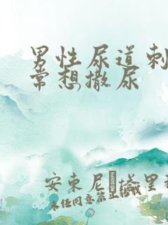 男性尿道刺痛时常想撒尿