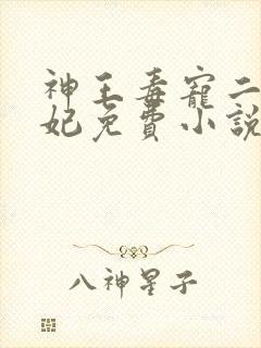 神王毒宠二嫁王妃免费小说