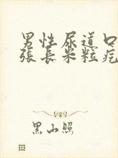 男性尿道口边上张长米粒疙瘩