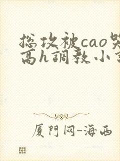 总攻被cao哭高h调教小说