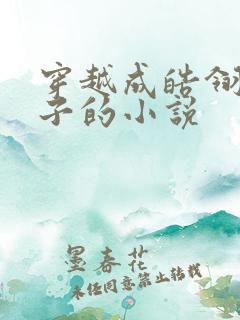 穿越成皓翎王儿子的小说