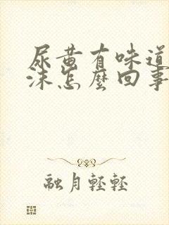 尿黄有味道有泡沫怎么回事