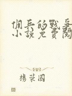 佣兵的战争全文小说免费阅读