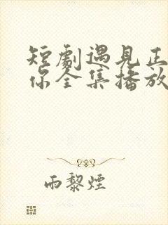 短剧遇见正确的你全集播放