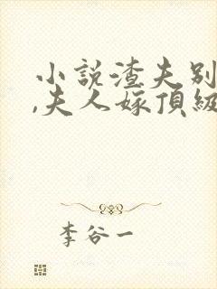 小说渣夫别跪了,夫人嫁顶级大佬显怀了