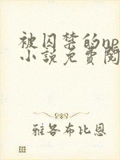 被囚禁的npc小说免费阅读