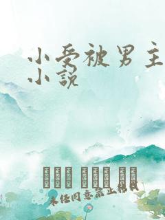 小受被男主调教小说