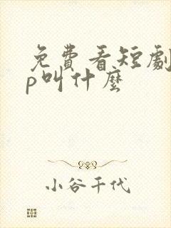 免费看短剧app叫什么