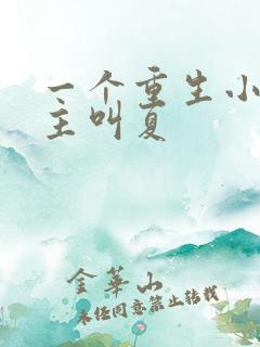 一个重生小说女主叫夏