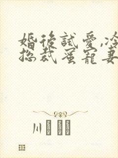 婚后试爱,冷面总裁蜜宠妻