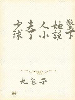 少夫人她惊艳全球了小说下载txt