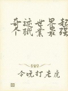 奇迹世界起源哪个职业最强