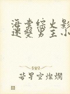 海棠综火影万人迷双男主小说