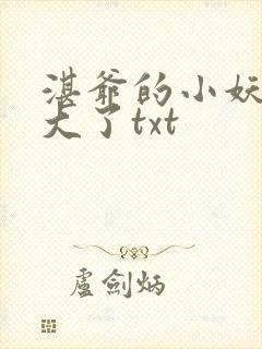 湛爷的小妖精长大了txt