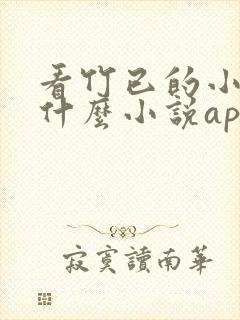 看竹已的小说用什么小说app