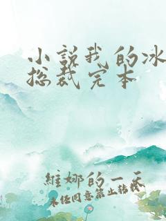 小说我的冰山女总裁完本