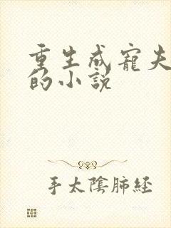 重生成宠夫狂魔的小说