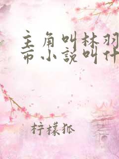 主角叫林羽的都市小说叫什么