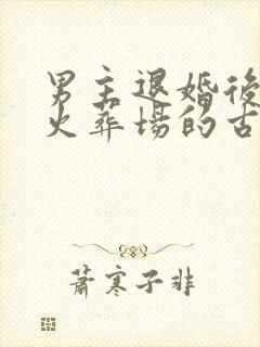 男主退婚后追妻火葬场的古言