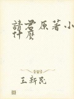 请君原著小说叫什么