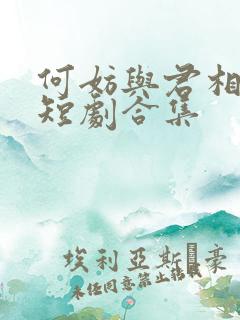何妨与君相决绝短剧合集