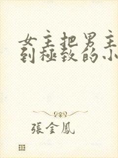 女主把男主囚禁到极致的小说