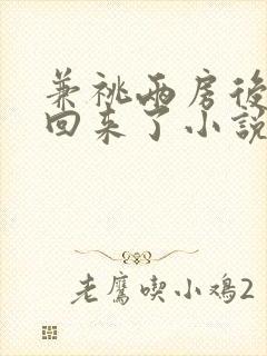 兼祧两房后夫君回来了小说全文阅读