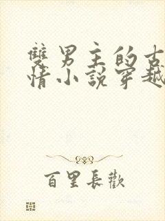 双男主的古代言情小说穿越