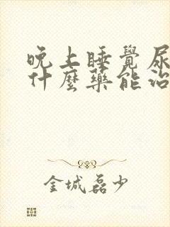 晚上睡觉尿多吃什么药能治疗尿多?