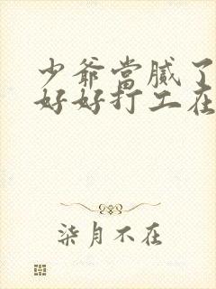 少爷当腻了只想好好打工在线观看