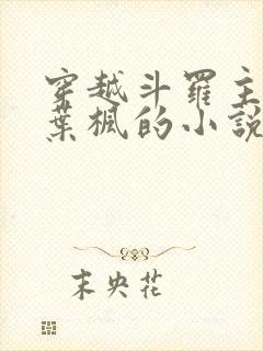 穿越斗罗主角是叶枫的小说