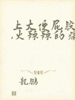 上大便屁股很痛,火辣辣的痛怎么办