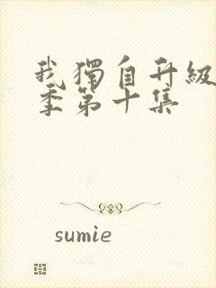 我独自升级第二季第十集