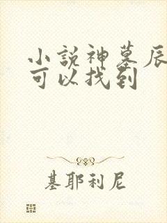 小说神墓辰东哪可以找到