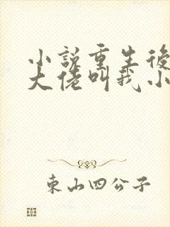 小说重生后暴躁大佬叫我小祖宗全文阅读