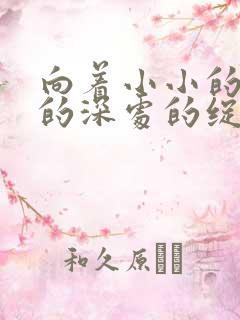 向着小小的花蕾的深处的绽放星辰