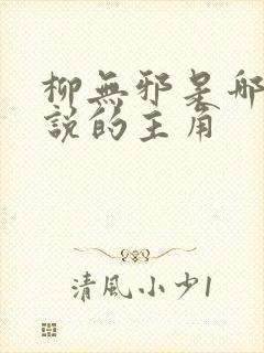 柳无邪是哪本小说的主角