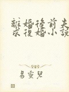 离婚后前夫哭着求复婚小说免费阅读无弹窗