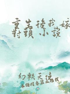 重生后我嫁了死对头 小说