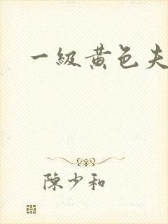 一级黄色夫妻片