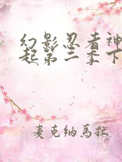 幻影忍者神龙崛起第二季下半