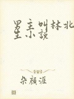 男主叫林北的重生小说