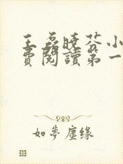 王磊晓芬小说免费阅读第一章