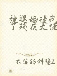 被退婚后我嫁给了残疾大佬