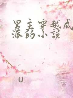 男主穿越成为反派的小说