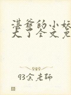 湛爷的小妖精长大了全文免费阅读无弹窗