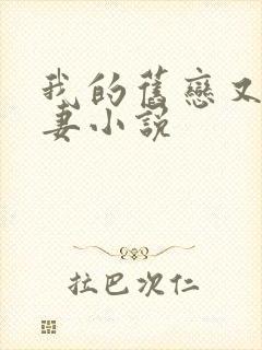 我的旧恋又来追妻小说