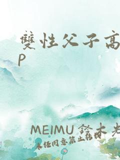 双性父子高hnp