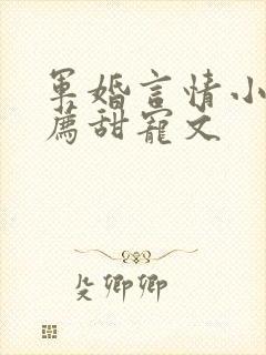 军婚言情小说推荐甜宠文