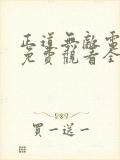 正道无敌电视剧免费观看全集完整版